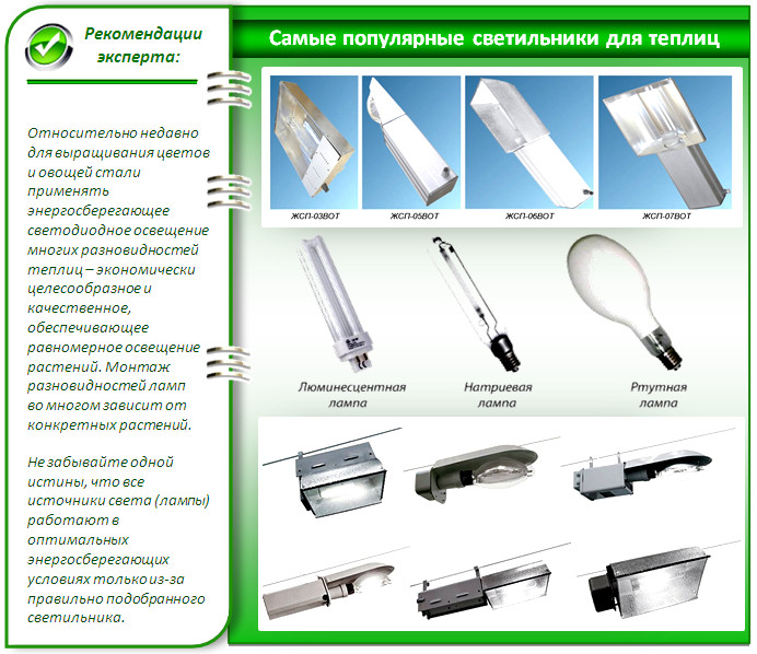 Какие Лучше Купить Светильники В Теплицу