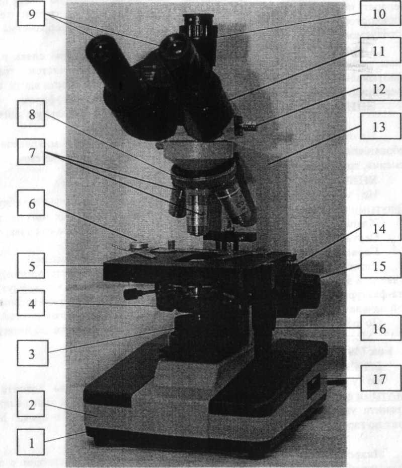 Функция основания микроскопа