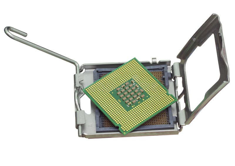 The computer the processor on a white background. Is isolated gold color with a microcircuit stock image