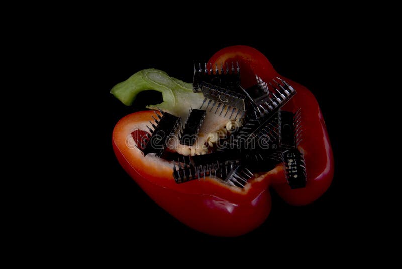 Red pepper with microcircuits royalty free stock photos