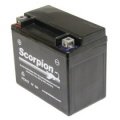 AGM Battery