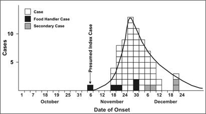 A histogram shows increase and decrease in the number of Hepatitis A cases over time.