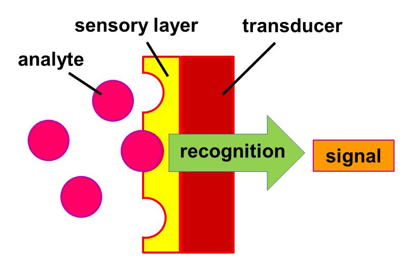 Bio Sensor